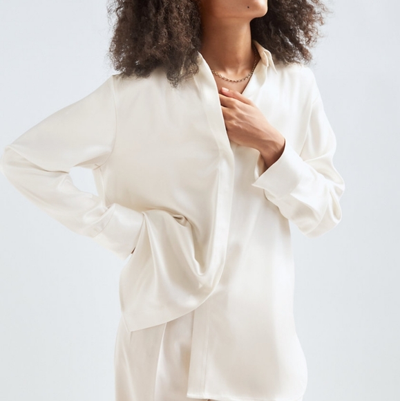 Aritzia Tops - NEW Aritzia Babaton Sable Satin button up